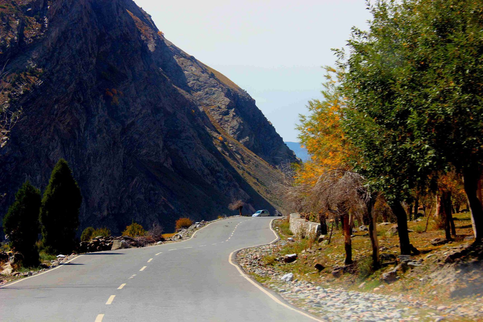 Jispa Village