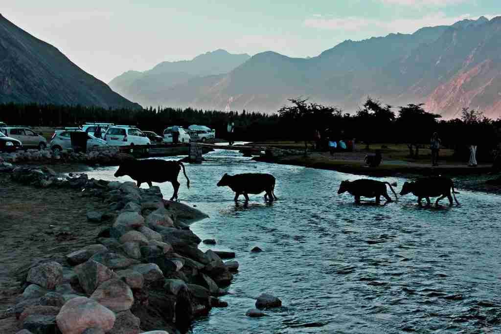 10 tips for your first time in India