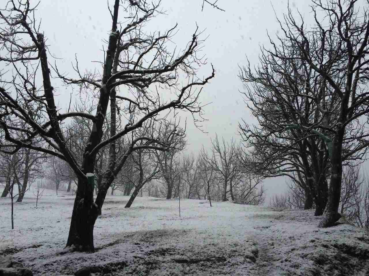 10 Reasons to Welcome New Year in Manali