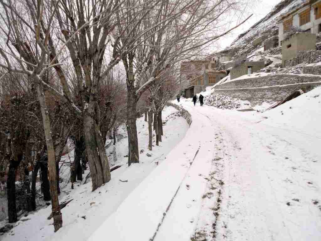 winters