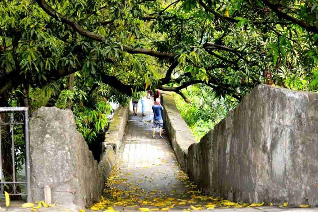 Mango trees covered walkway in Fort Santiago, Intramuros, Manila