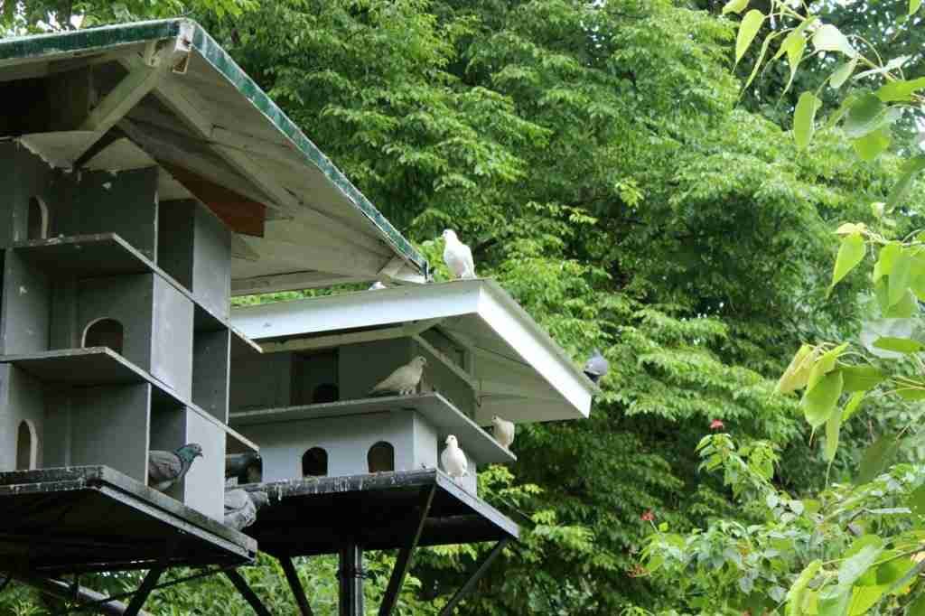 The Pigeon House in the picnic gardens of Fort Santiago
