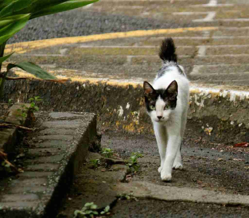 Fort Santiago, Intramuros, Manila
