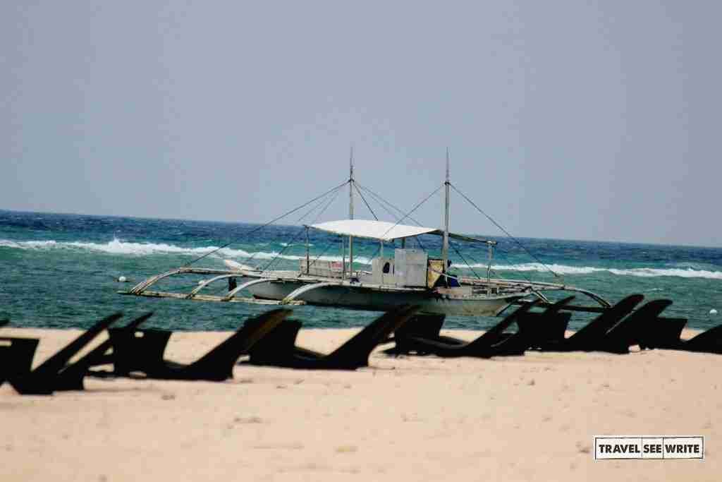 Dumaluan beach - Palms