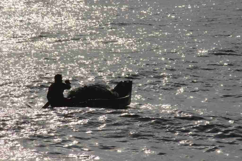 Fisherman at dawn, Pondicherry - Copy