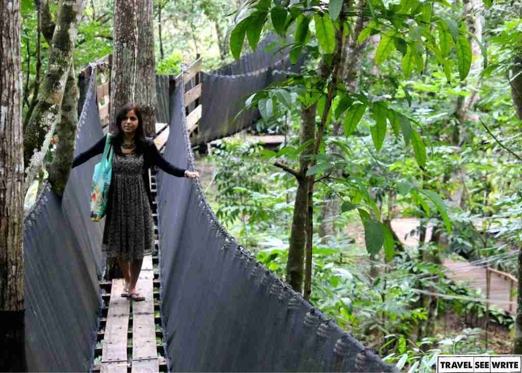 Hanging Bridge at Chocolate Hill Adventure Park, Bohol