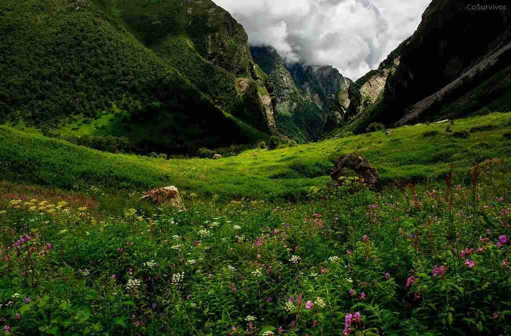 The Valley of Flowers in Uttarakhand may not be a weekend getaway from Delhi, but it is worth visiting when you have time.