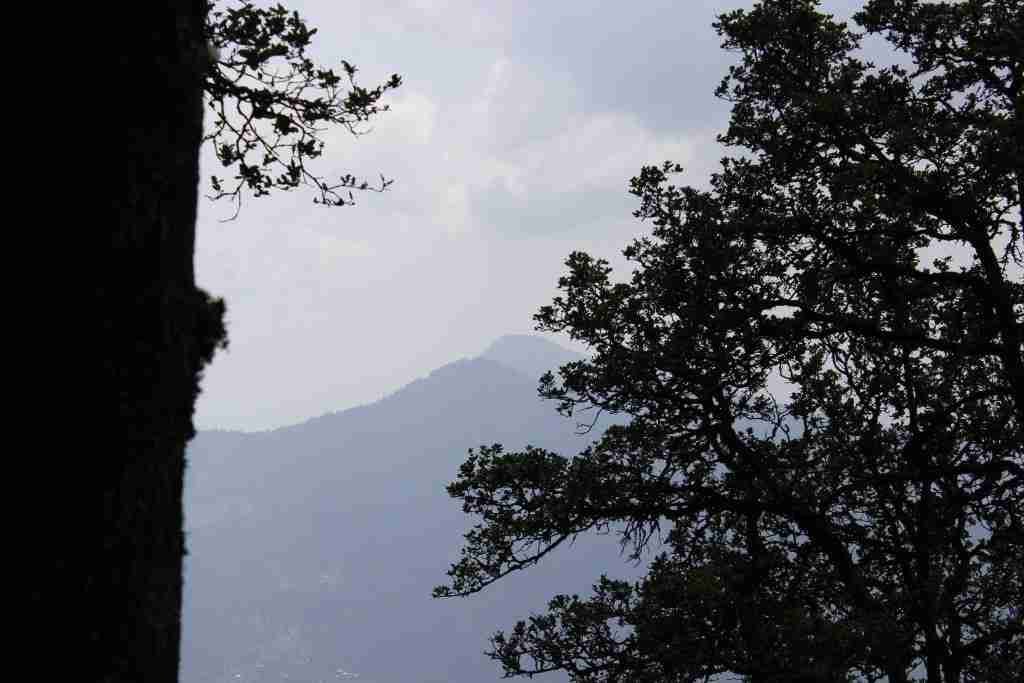 View from Bashal trek