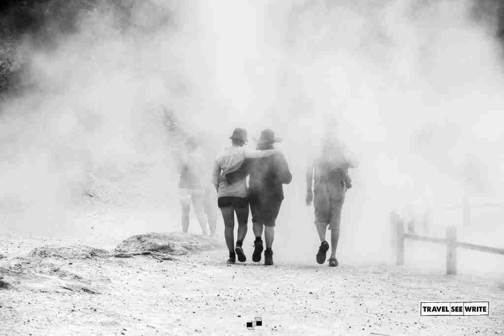 Natural Geysers, Rotorua, New Zealand