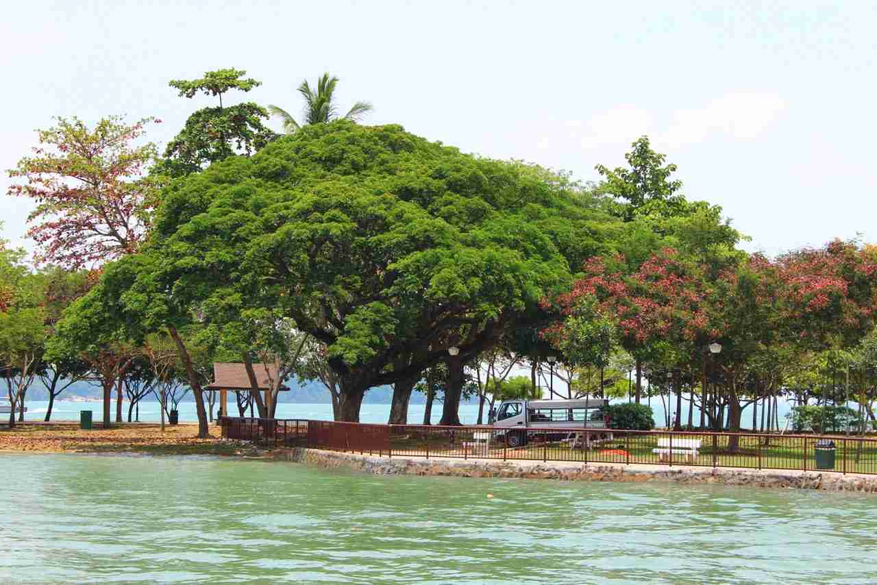 Pulau Ubin: Rediscovering Sixties Singapore - travelseewrite