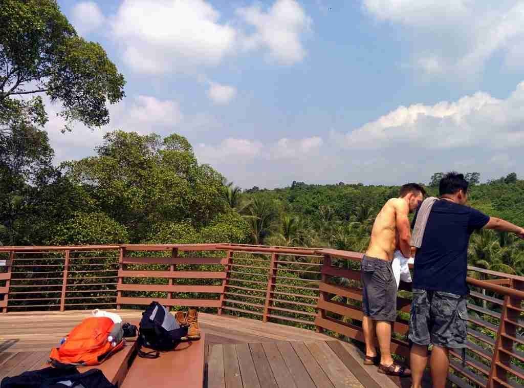 Pulau Ubin Viewing Deck