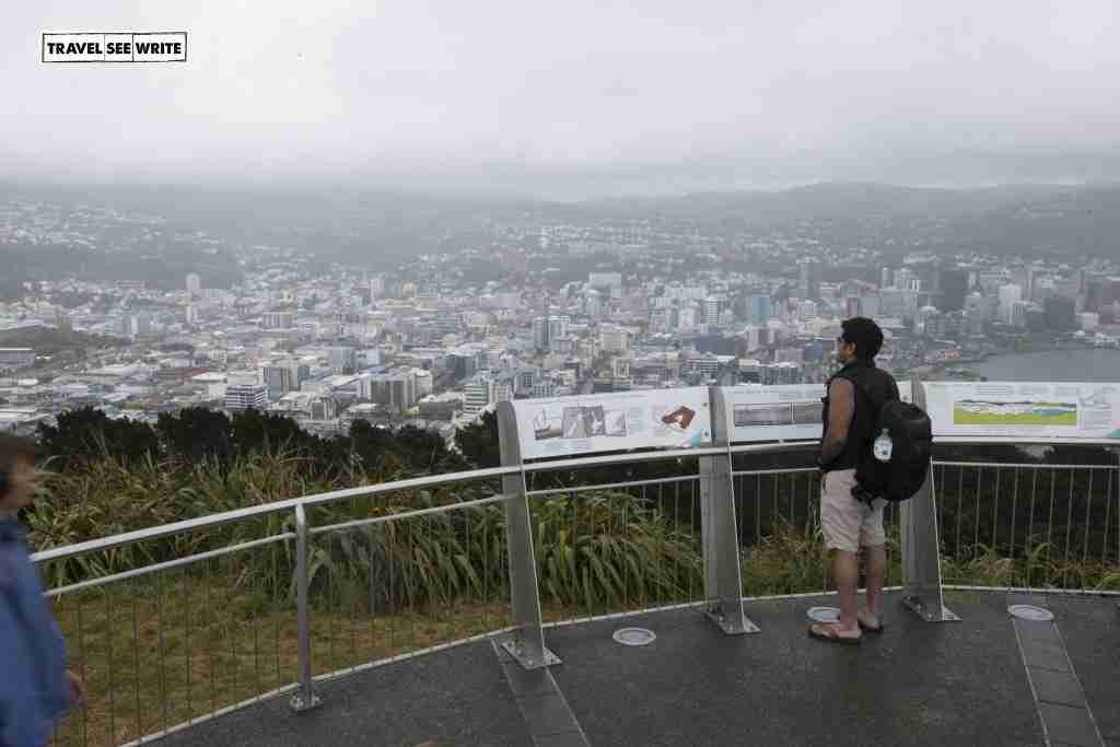 View-of-Wellington-from-mt-victoria-matairangi1