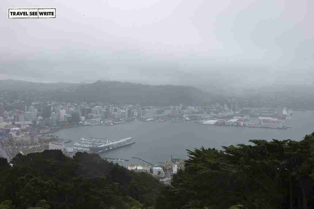View of Wellington from Mt Victoria Matairangi, New Zealand