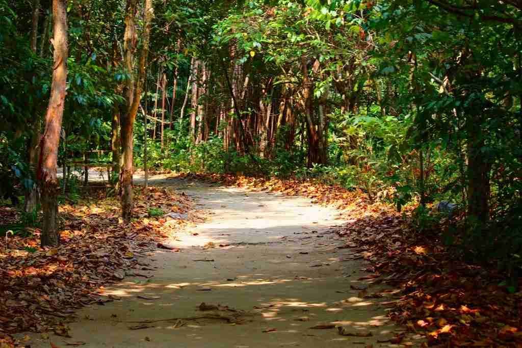 walkaway