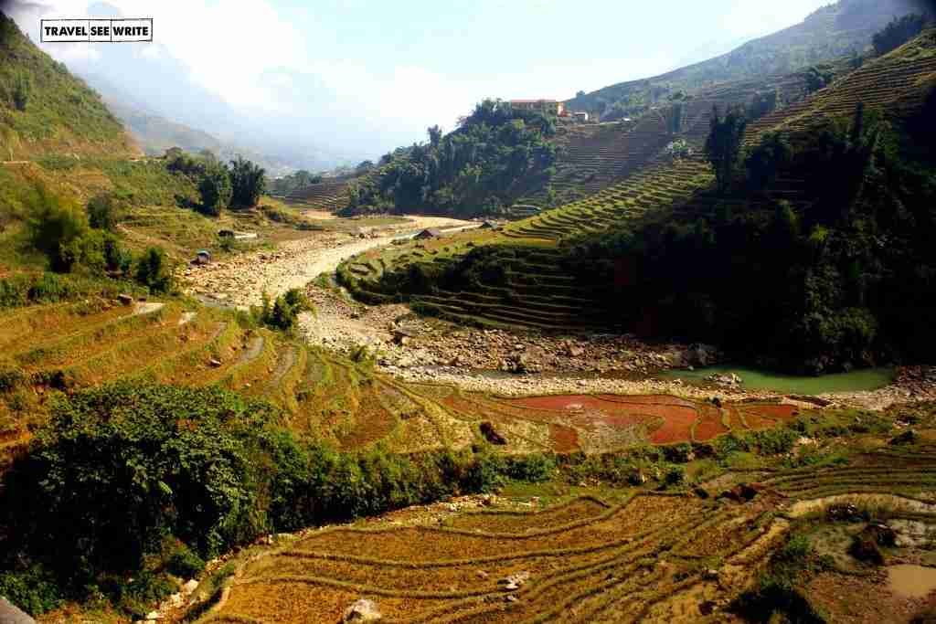 terrace rice fields, sapa, vietnam
