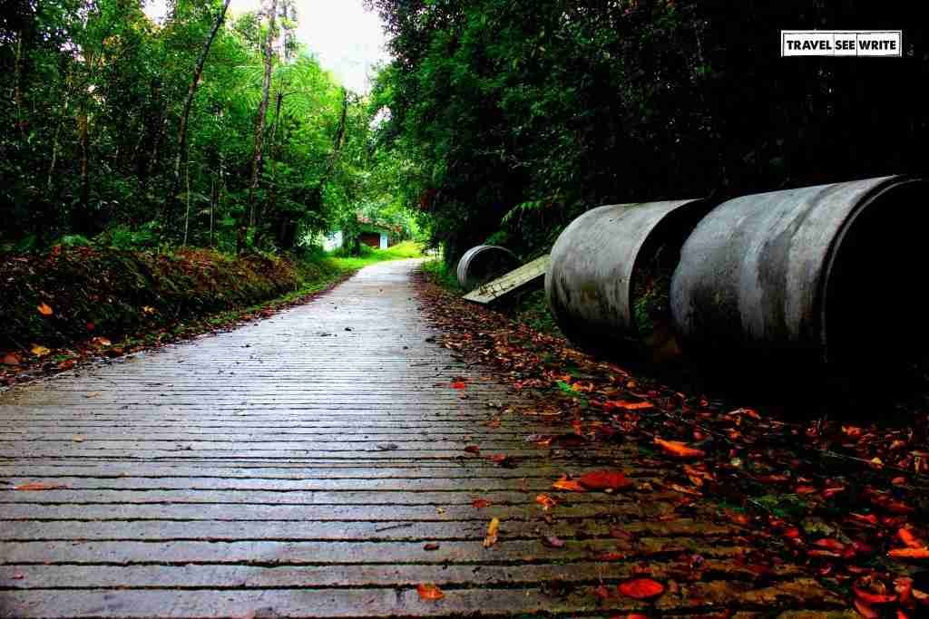 Mount Kinabalu Base Park, Sabah, Malaysia