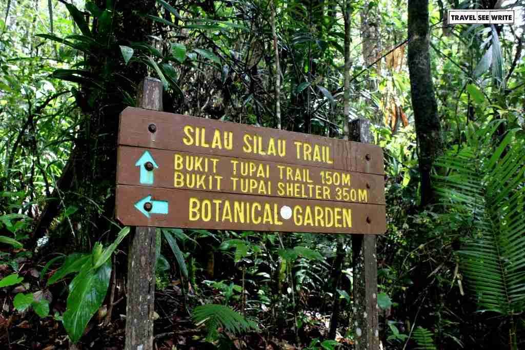 Mount Kinabalu Base Trail