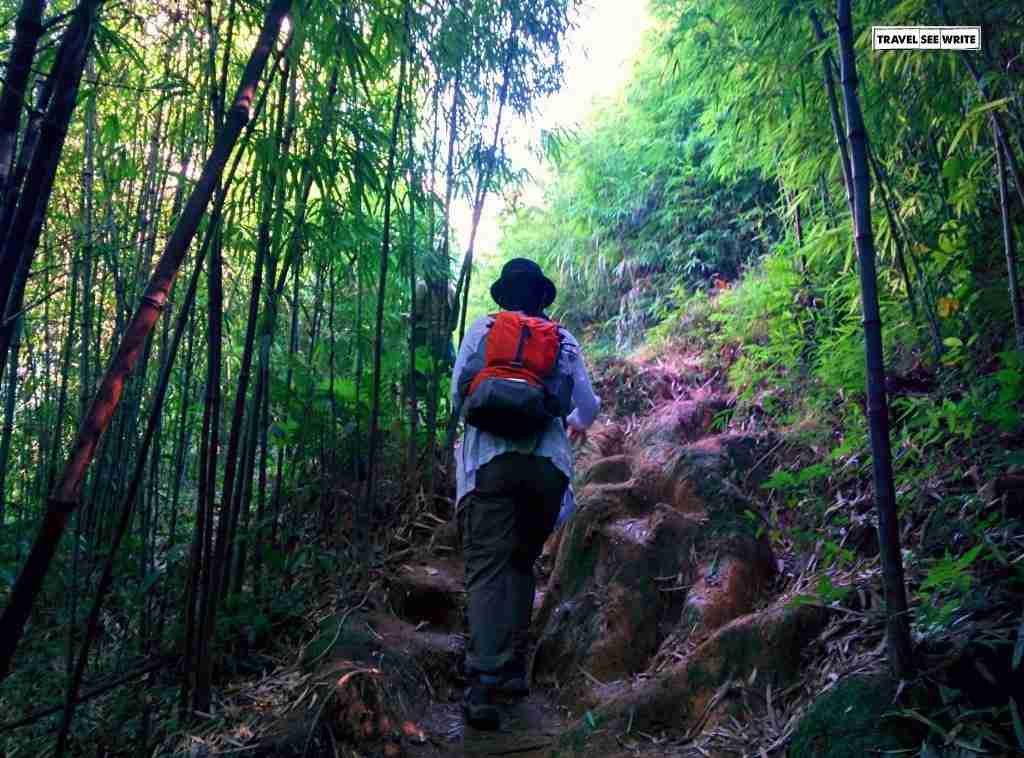 North Western Mountains, Sapa, Vietnam