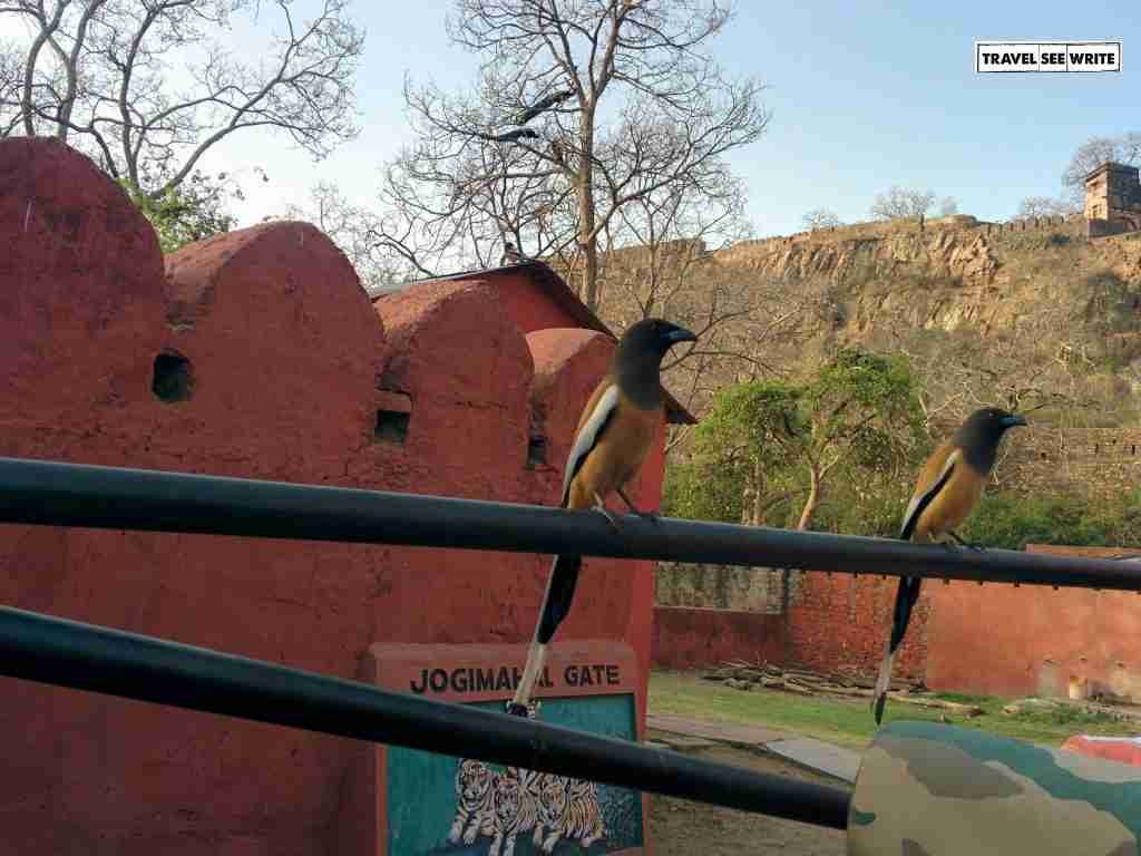 Jogi Mahal Gate, Ranthambore National Park