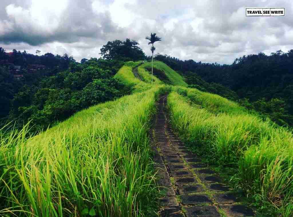 View from the Campuhan Ridge Walk Trek, Ubud, Bali