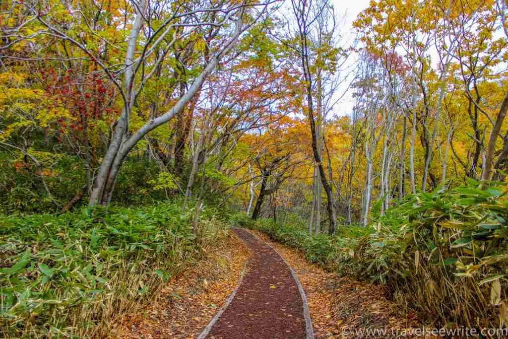 autumn-leaves-noboribetsu-hokkaido-japan-1-of-1