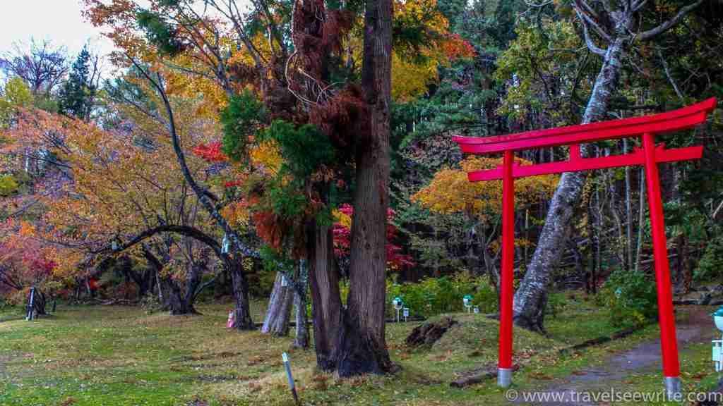 Nakajima Island in Toya Lake is one of the best places to visit in Hokkaido, Japan.