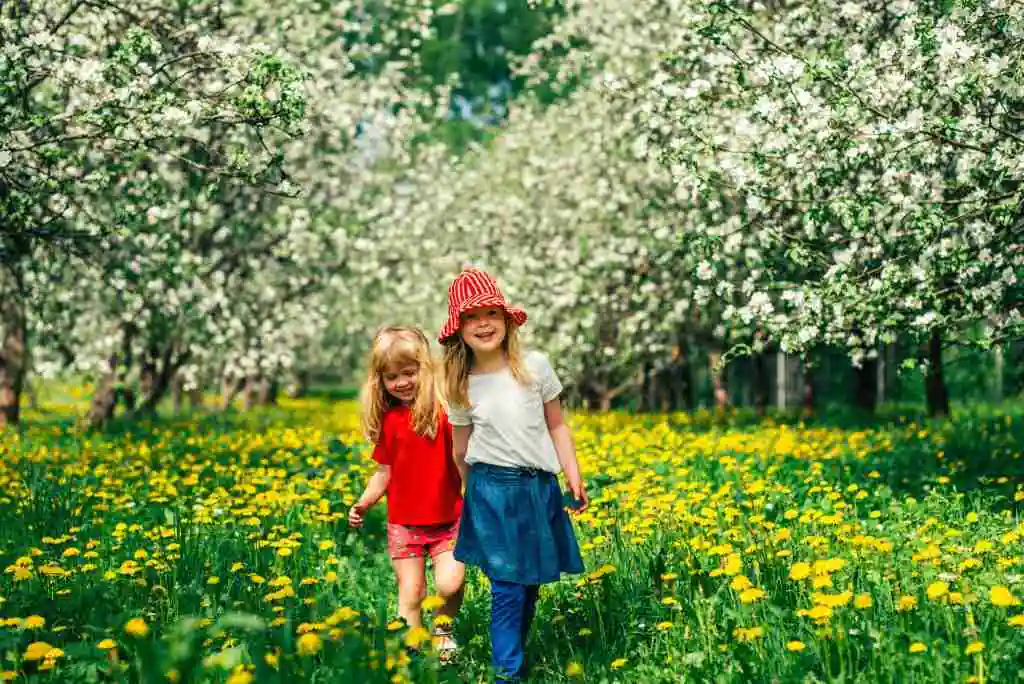 Finland travel: know why its education is the best in the world. Pic by Jussi Hellsten