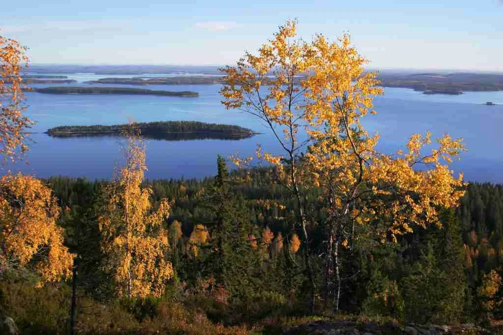 Things to do in Finland in autumn: Witness the explosion of colours in forests
