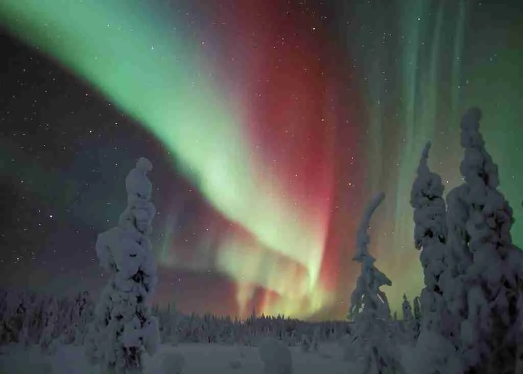 Things to do in Finland in winters: Northern Lights show in Lapland