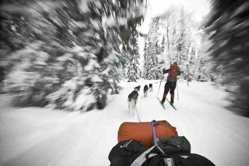 Things to do in Finland in winters - Go Husky Safari in Lapland