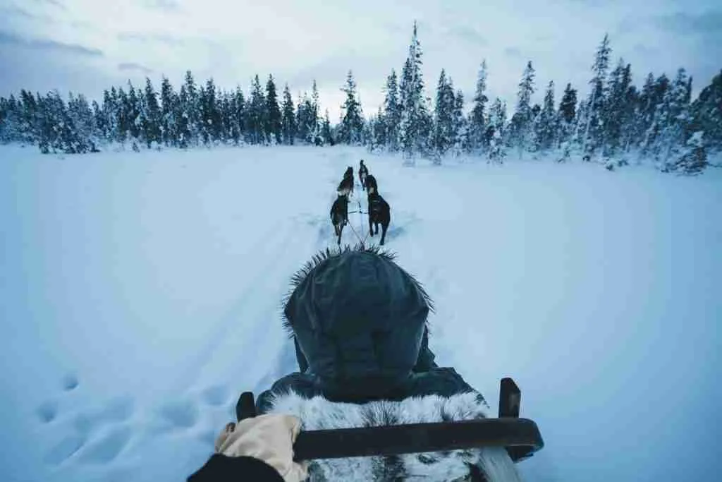 Finland travel: Go on a a Husky ride in winters. Pic by Hannes Becker