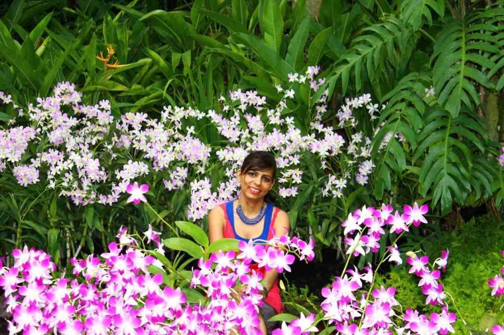 Orchid Garden, Botanic Garden, Singapore