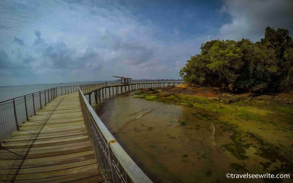 Chek Jawa Wetlands, Pulau Ubin, Singapore
