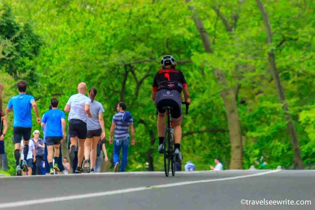 The USA travel: Central park in New York City is an oasis for nature and health lovers.