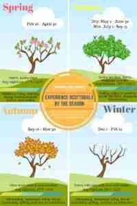 Seasons of Scottsdale
