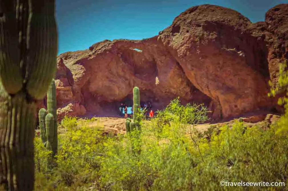 Phoenix, Arizona Things to do: Visit the Desert Botanical Graden