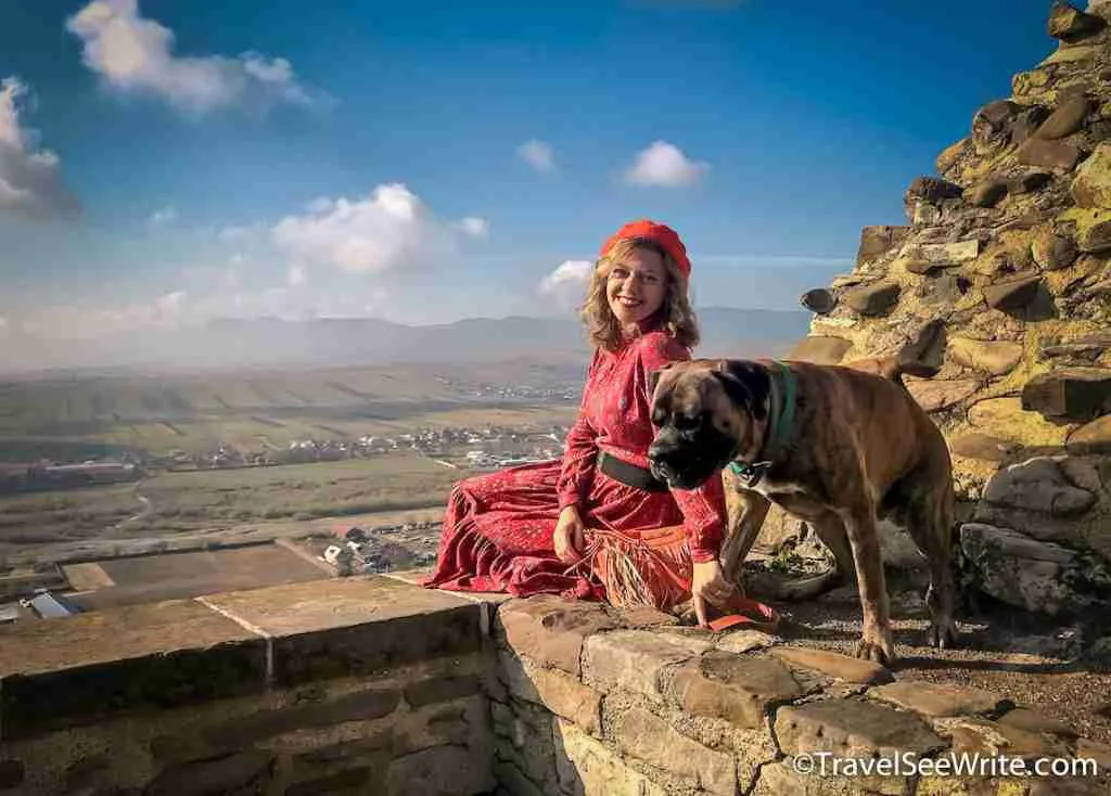 Things to know before you travel to Romania: Dogs in Romania are Happy Dogs