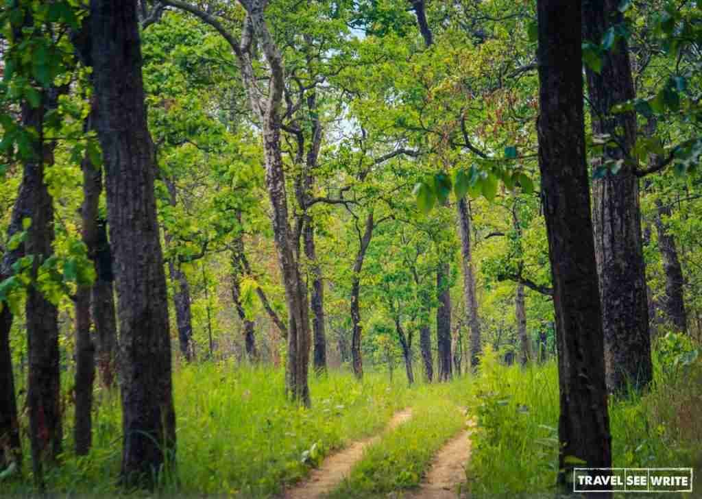 In the wild: Chitwan National Park, Nepal