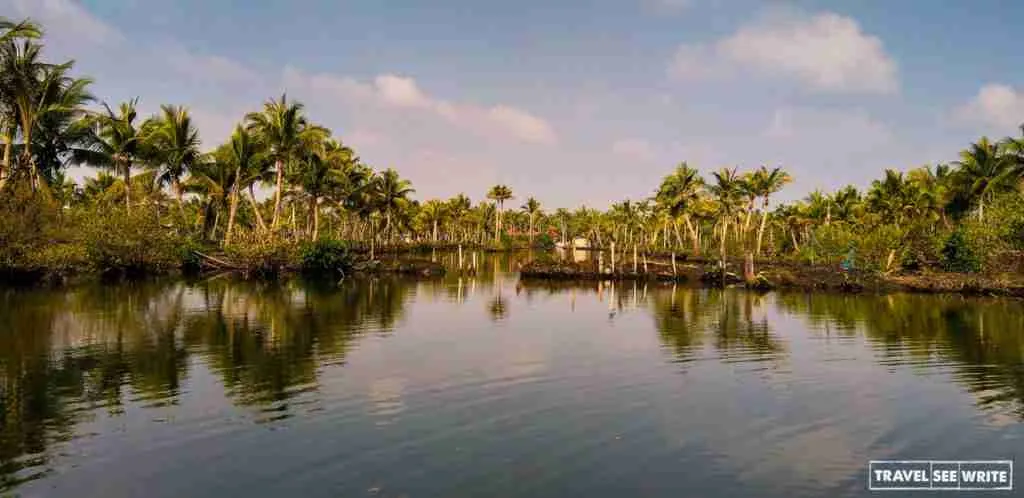 Coconut tree lined Lake Ashtamudi of Munroe Island, Kerala