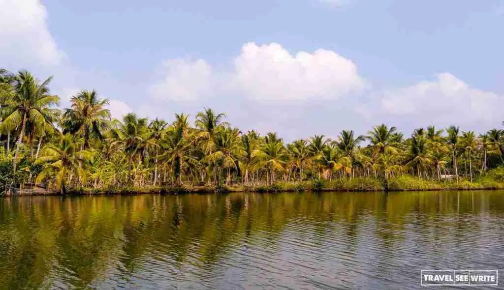 The unexplored backwaters of Kerala at Munroe Island is where beauty and calmness meet