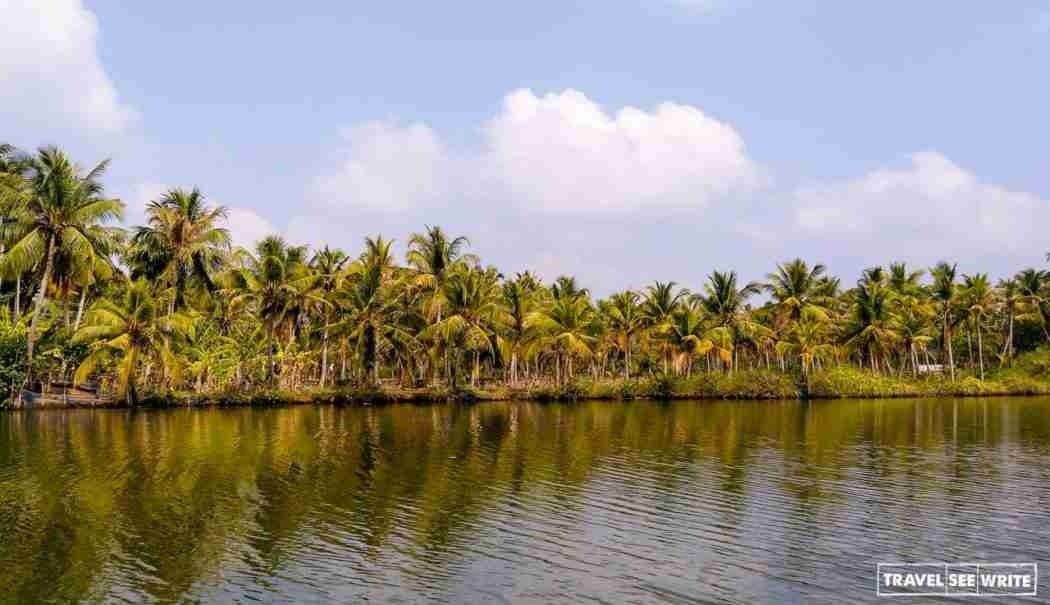 Exploring the unexplored backwaters of Kerala - travelseewrite