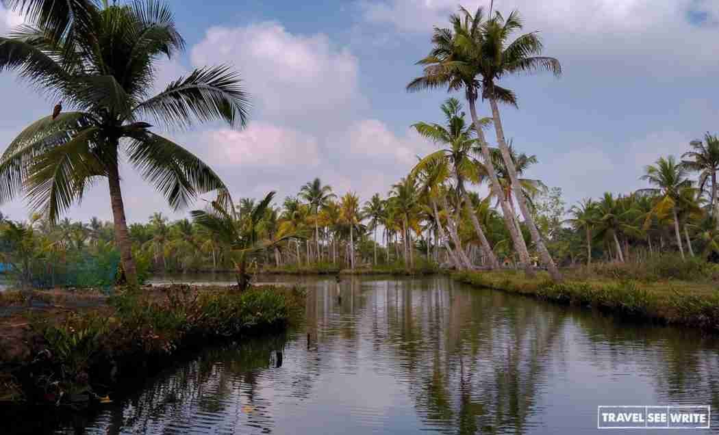 Exploring the unexplored backwaters of Kerala