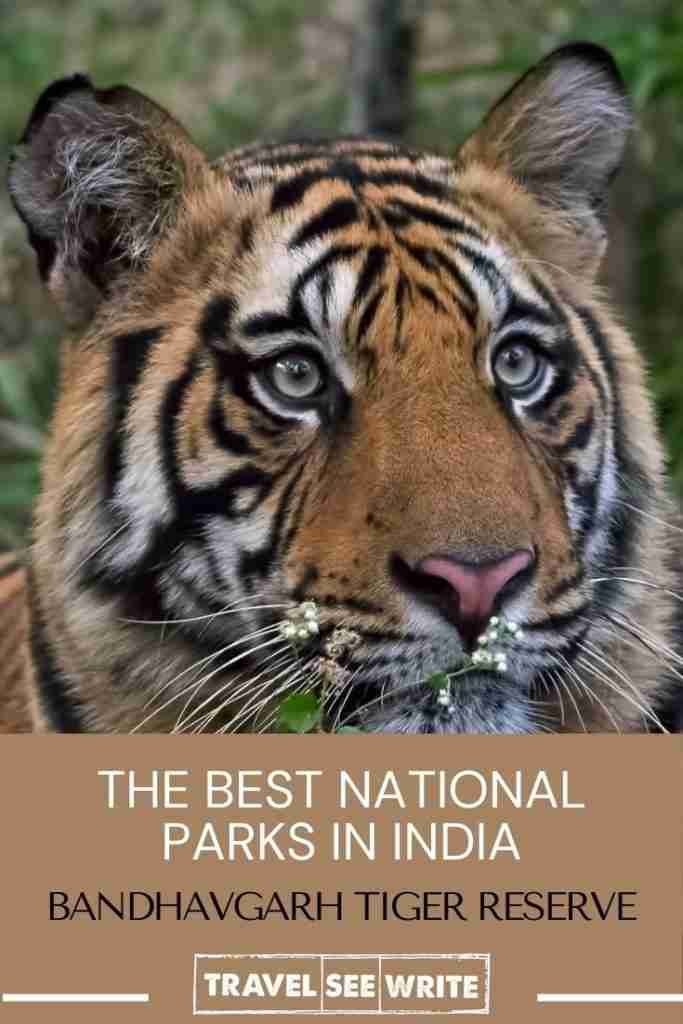 Complete Travel Guide - Bandhavgarh NationalPark