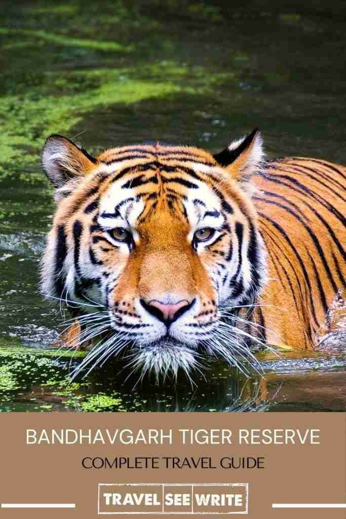 Complete Travel Guide - Bandhavgarh National Park