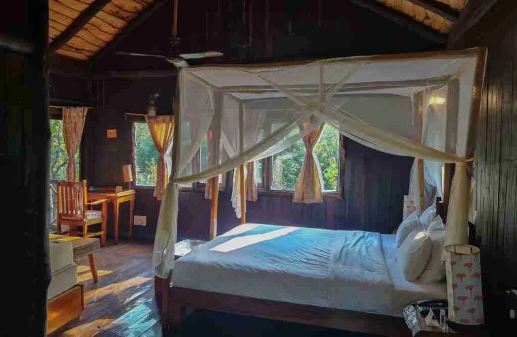 Airy and well lit room of Treehouse Hideaway, Bandhavgarh, MP