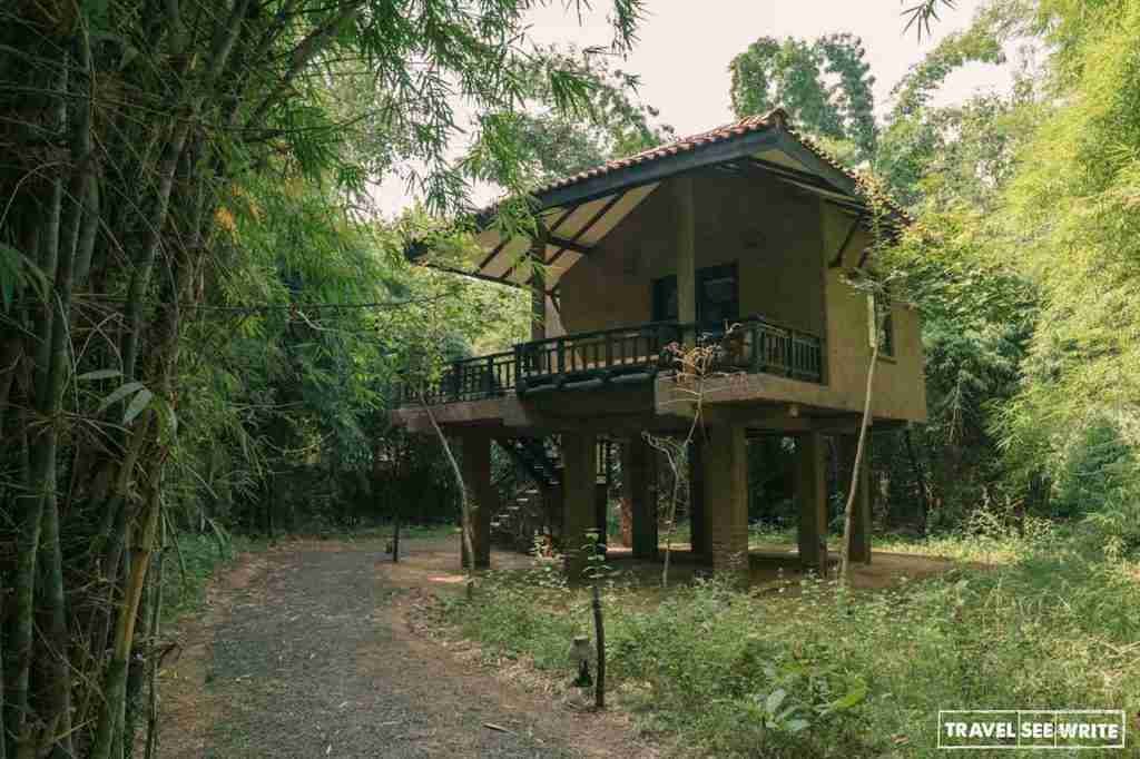 My stilted cottage at Kings Lodge, Bandhavgarh