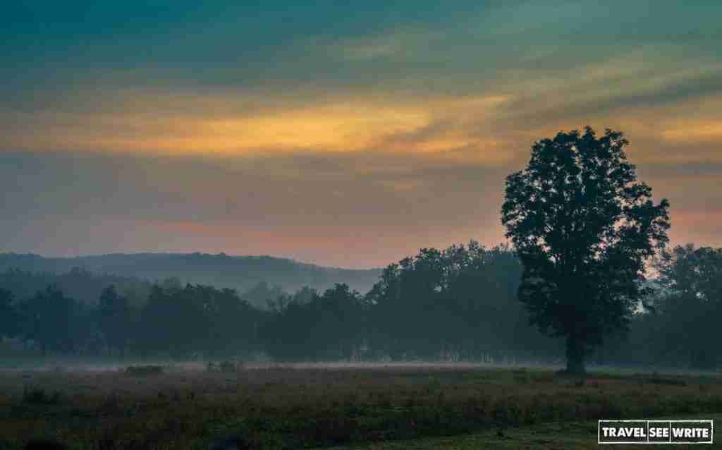 Watching the sky put on a show at Kanha National Park, Madhya Pradesh