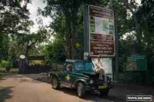 How to successfully plan a Bandhavgarh National Park Safari, Madhya ...