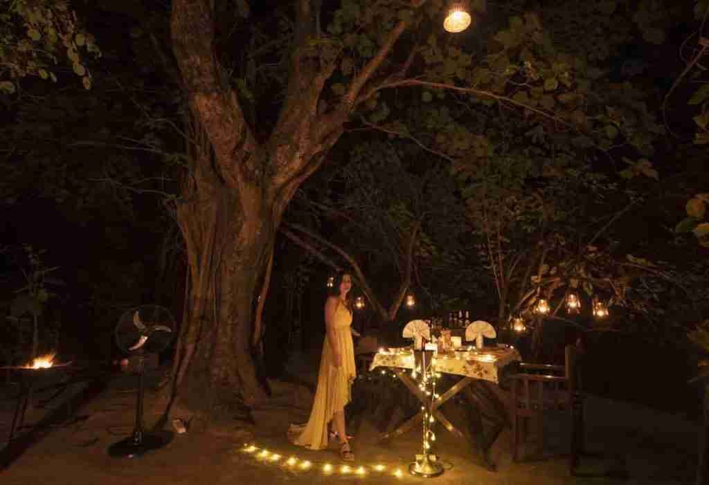 Enjoying the Bush Dinner under the gigantic Haldu Tree