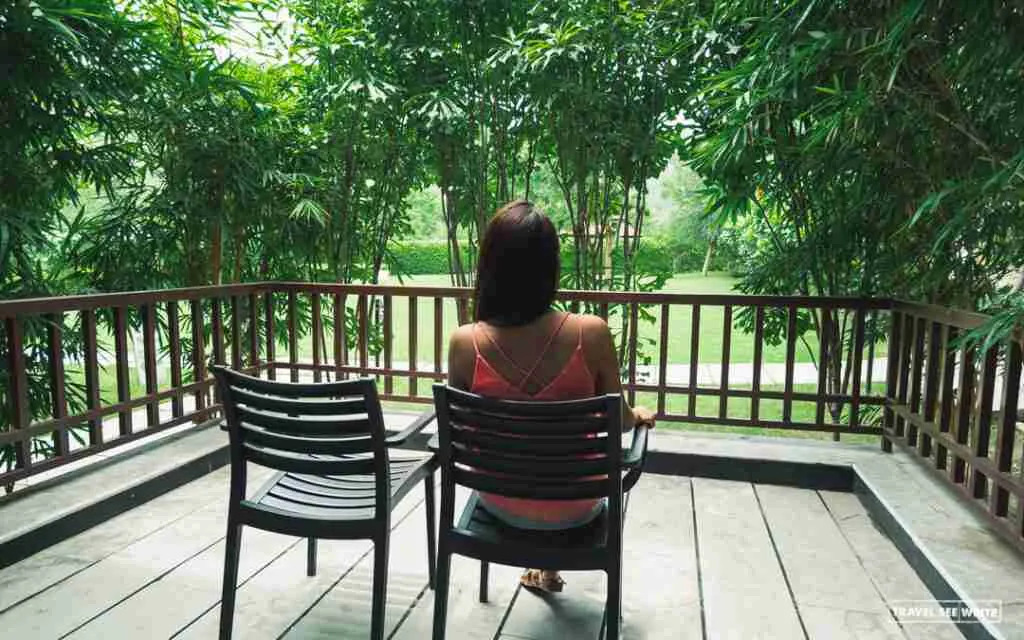 My room had a large sit-out area with an all-encompassing view of the forested Aravalli Hills